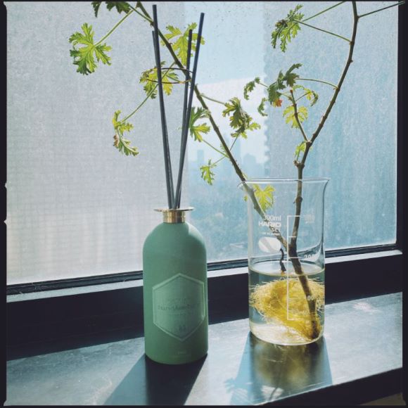 Diffuser - Sage